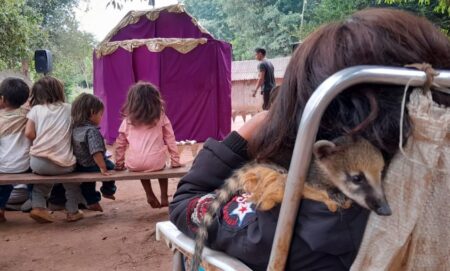 Siete elencos teatrales llevan títeres, circo y humor a las aldeas guaraníes imagen-11