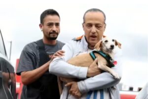 El emotivo reencuentro entre un hombre ciego y su perro guía que había sido robado hace meses imagen-1