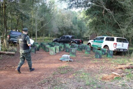 Incautan en la zona rural de Puerto Rico 19.900 paquetes de cigarrillos ingresados de contrabando imagen-18