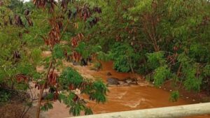 Dos adolescentes fueron rescatados tras ser arrastrados por un arroyo en Itaembé Guazú imagen-1