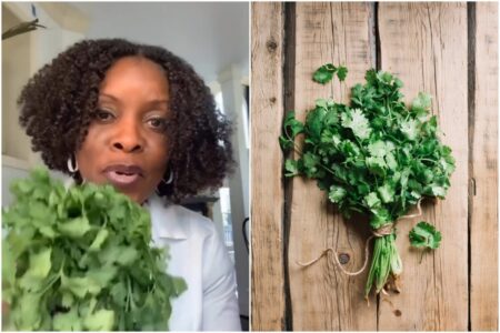Las propiedades medicinales del cilantro: cómo la hierba típica de la gastronomía latina puede desintoxicar el cuerpo imagen-12