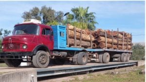 Reglamento EUDR y la economía regional: riesgos y oportunidades para las provincias de Santiago del Estero y Chaco imagen-8
