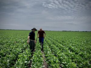 Momento bisagra: las cuatro claves que definen el éxito en las empresas agropecuarias imagen-2