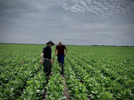 Momento bisagra: las cuatro claves que definen el éxito en las empresas agropecuarias imagen-9