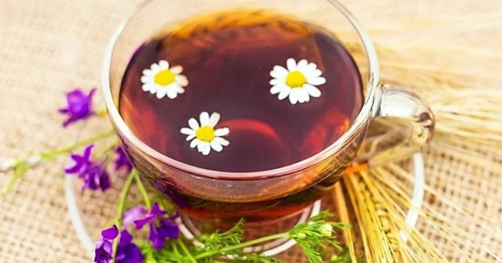 Las increíbles propiedades curativas de la manzanilla: cómo se debe consumir imagen-5