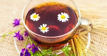 Las increíbles propiedades curativas de la manzanilla: cómo se debe consumir imagen-17