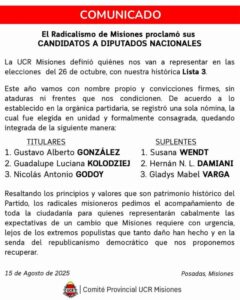 Elecciones 26-O: la UCR Misiones definió su lista de candidatos a la Cámara de Diputados de la Nación imagen-1