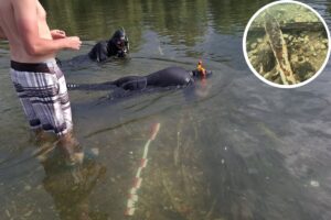 Descubren en el fondo de un río el mayor reservorio de lingotes de hace más de 2000 años imagen-2