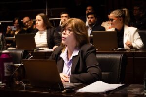Legislatura se prepara para analizar el Presupuesto Provincial 2026 que prioriza la cuestión social imagen-3