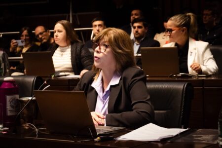 Legislatura se prepara para analizar el Presupuesto Provincial 2026 que prioriza la cuestión social imagen-6