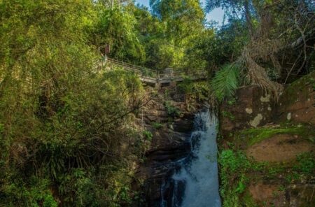 Cataratas: reapertura del salto Álvar Núñez en el circuito inferior imagen-5