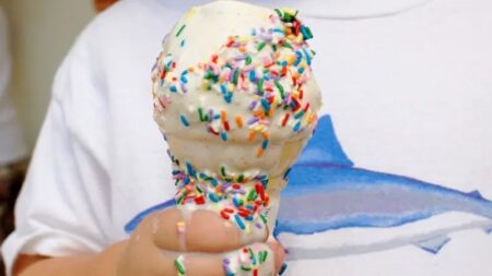 La búsqueda científica de un helado que no se derrita imagen-9