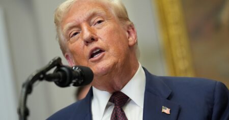 Aranceles: para Trump, "va todo bien" y abre una venana de negociación para después del 7 de agosto imagen-20
