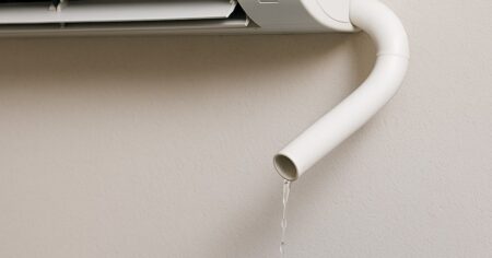 No tires el agua del aire acondicionado: estos son todos los beneficios para tus plantas, según los expertos imagen-14