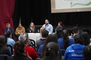 Más de 120 docentes se capacitan en Lengua de Señas en Leandro N. Alem imagen-3