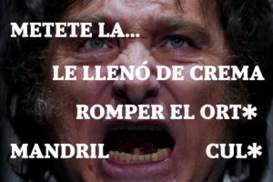 El insulto de Estado. Metáforas sexuales y cada vez más agresiones: ¿a dónde apunta la escalada del discurso de Milei? imagen-2
