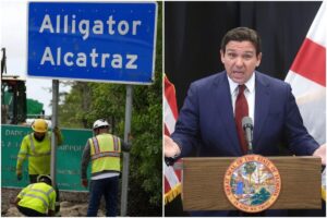 Revés para DeSantis y Trump: tienen 60 días para desmantelar Alligator Alcatraz y esto pasará con los detenidos imagen-2