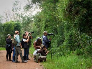 Volar 2025, una oportunidad para incorporar saberes y consolidar el turismo de observación de aves en Misiones imagen-2