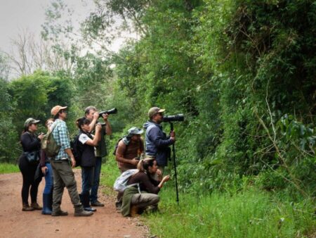 Volar 2025, una oportunidad para incorporar saberes y consolidar el turismo de observación de aves en Misiones imagen-6