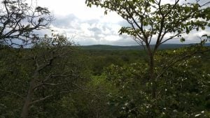 Paraguay | Desaparece guía turistico argentino en áreas de un parque nacional y despliegan operativo de búsqueda imagen-8