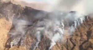 El indicio que encendió la preocupación de los vecinos del norte argentino y derivó en un fenómeno impensado imagen-3