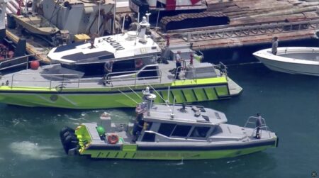 Tragedia en Miami: qué se sabe del accidente en el que murieron la nieta de Cris Morena y otras dos niñas más imagen-9