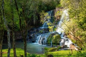 De la Selva Misionera a los bosques andinos: un recorrido por las cascadas de pueblos distinguidos por la ONU imagen-7