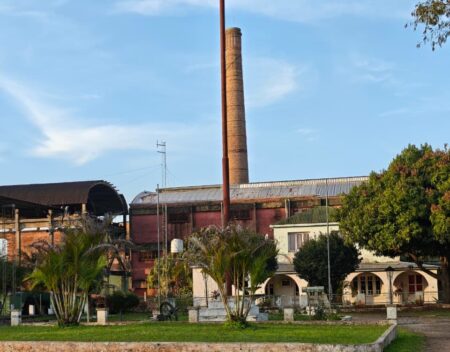 El Ingenio Azucarero San Javier se transformó en la Coordinación de Diversificación Productiva imagen-9