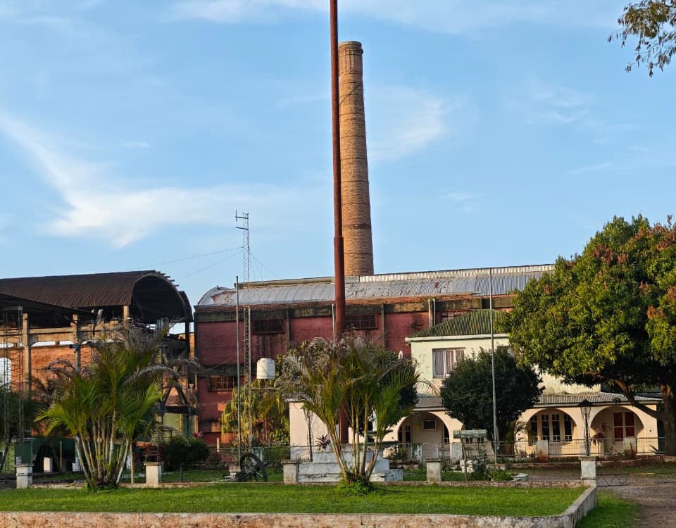 El Ingenio Azucarero San Javier se transformó en la Coordinación de Diversificación Productiva imagen-71