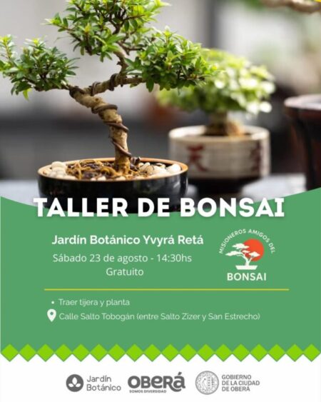 Un viaje a la cultura oriental: Taller gratuito de Bonsái en el Jardín Botánico de Oberá imagen-8