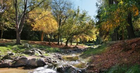 Córdoba en primavera: 2 destinos para hacer trekking y disfrutar de la naturaleza entre las sierras imagen-12
