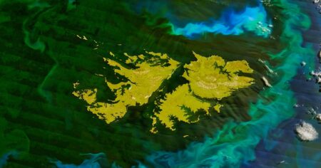 El cráter oculto en Malvinas que podría reescribir la historia de la Tierra imagen-17