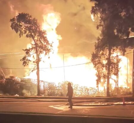Un incendio de gran magnitud se desató en un depósito de pallets en Esteban Echeverría imagen-8