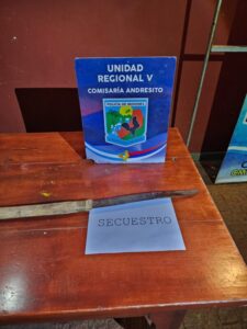 Ataco a su vecino con un machete por la música fuerte: Terminó detenido imagen-1