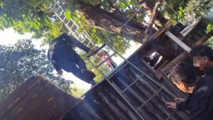 Hombre falleció tras caer de un árbol en su vivienda en Posadas imagen-1