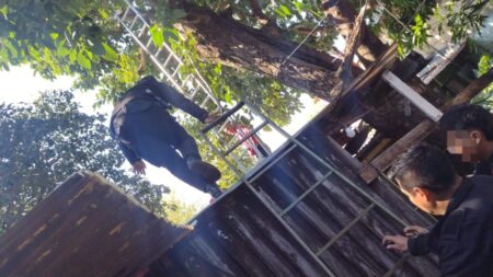 Hombre falleció tras caer de un árbol en su vivienda en Posadas imagen-24