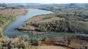 Ecología detectó tala ilegal en la Reserva El Saltito, área natural protegida de Misiones imagen-3