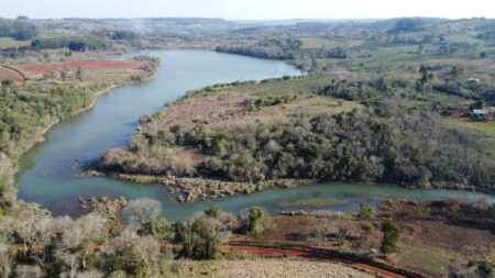 Ecología detectó tala ilegal en la Reserva El Saltito, área natural protegida de Misiones imagen-20