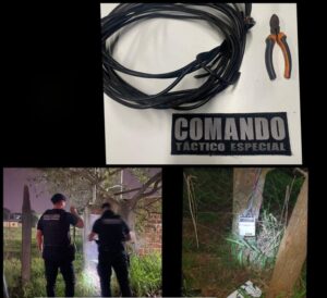 Siete detenidos en distintos procedimientos del Comando Táctico Especial en Misiones imagen-1