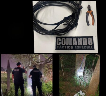 Siete detenidos en distintos procedimientos del Comando Táctico Especial en Misiones imagen-14