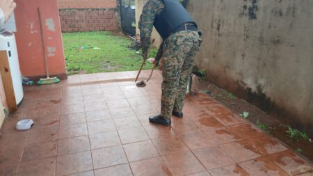 Susto: hallaron una yarará dentro de una vivienda de Garupá imagen-5