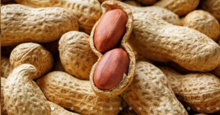Cacahuate energético: Sus nutritivas propiedades curativas para un snack saludable imagen-9