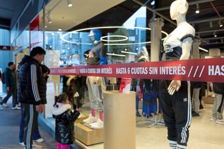 Casi 8 de cada 10 argentinos modificaron sus hábitos de consumo, según una encuesta imagen-7
