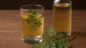 Caña con ruda, el ritual en busca de protección para abrir el día este viernes 1° de agosto: su origen ancestral, cómo tomarla y todo lo que hay que saber imagen-2