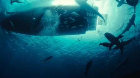 "Parecía la primera película original de tiburones desde 'Tiburón": al contrario que en la película de Spielberg, el peligro ahora está en los humanos imagen-8