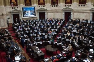 La Cámara de Diputados convocó a una sesión este miércoles para debatir el financiamiento de universidades y la emergencia en el Hospital Garrahan imagen-3