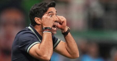 El técnico de Palmeiras palpitó los cuartos de final ante River en la Copa Libertadores imagen-15