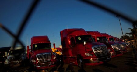 Trump suspende las visas a camioneros extranjeros porque "son un peligro para los estadounidenses" en las rutas imagen-12