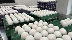 Durante el primer semestre de 2025, el consumo y la producción de huevos tuvo récord en el país: se producen 571 huevos por segundo imagen-3