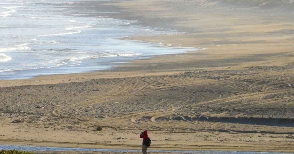 Escapada de primavera: el destino aislado de la costa con mar, dunas y tranquilidad absoluta imagen-5